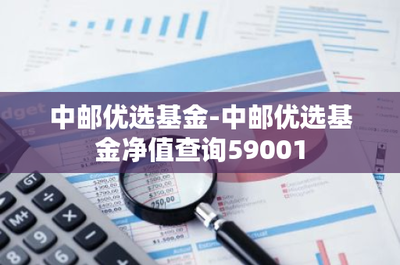 中郵優選基金-中郵優選基金凈值查詢59001