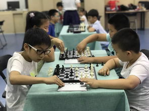 2019年泰達(dá)文化藝術(shù)中心秋季班報(bào)名開(kāi)始拉